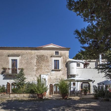 Masseria Citulo Il Pino Grande Villa กาสเตล เดล มอนเต ภายนอก รูปภาพ